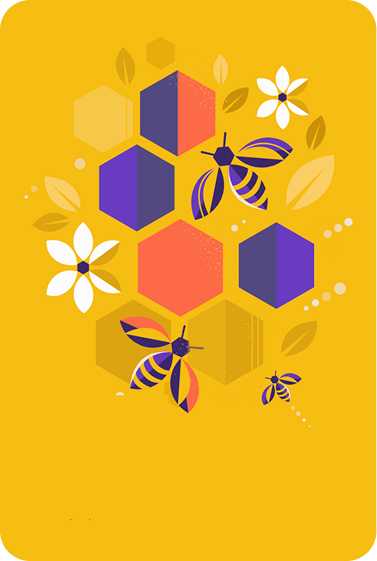 Holistic Approach Value